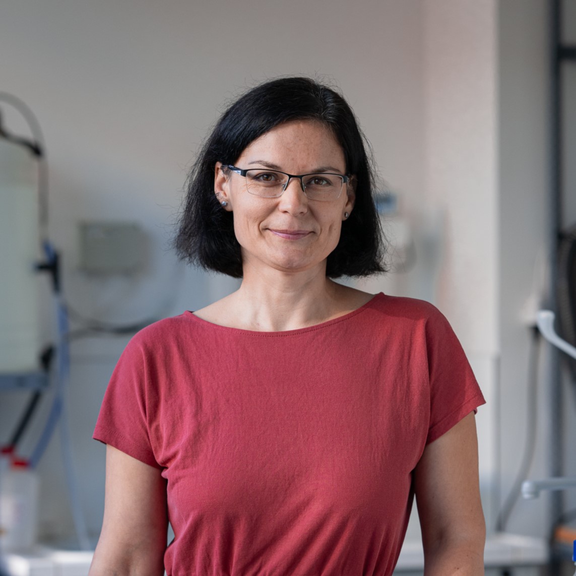 Mgr. Martina Vráblová, Ph.D.