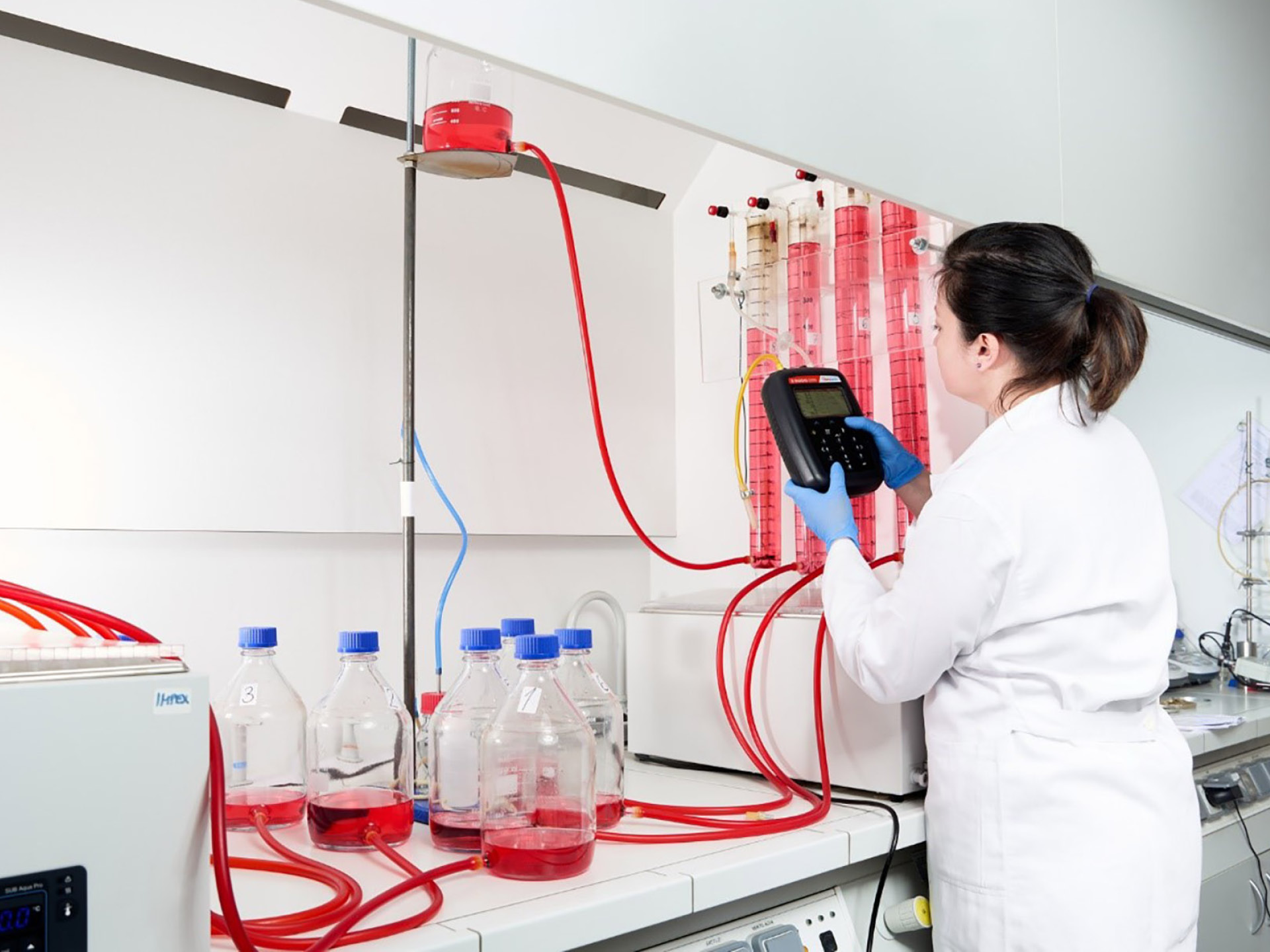 Biochemical Processes