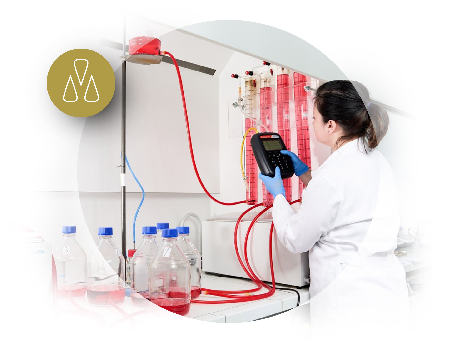 Biochemical Processes