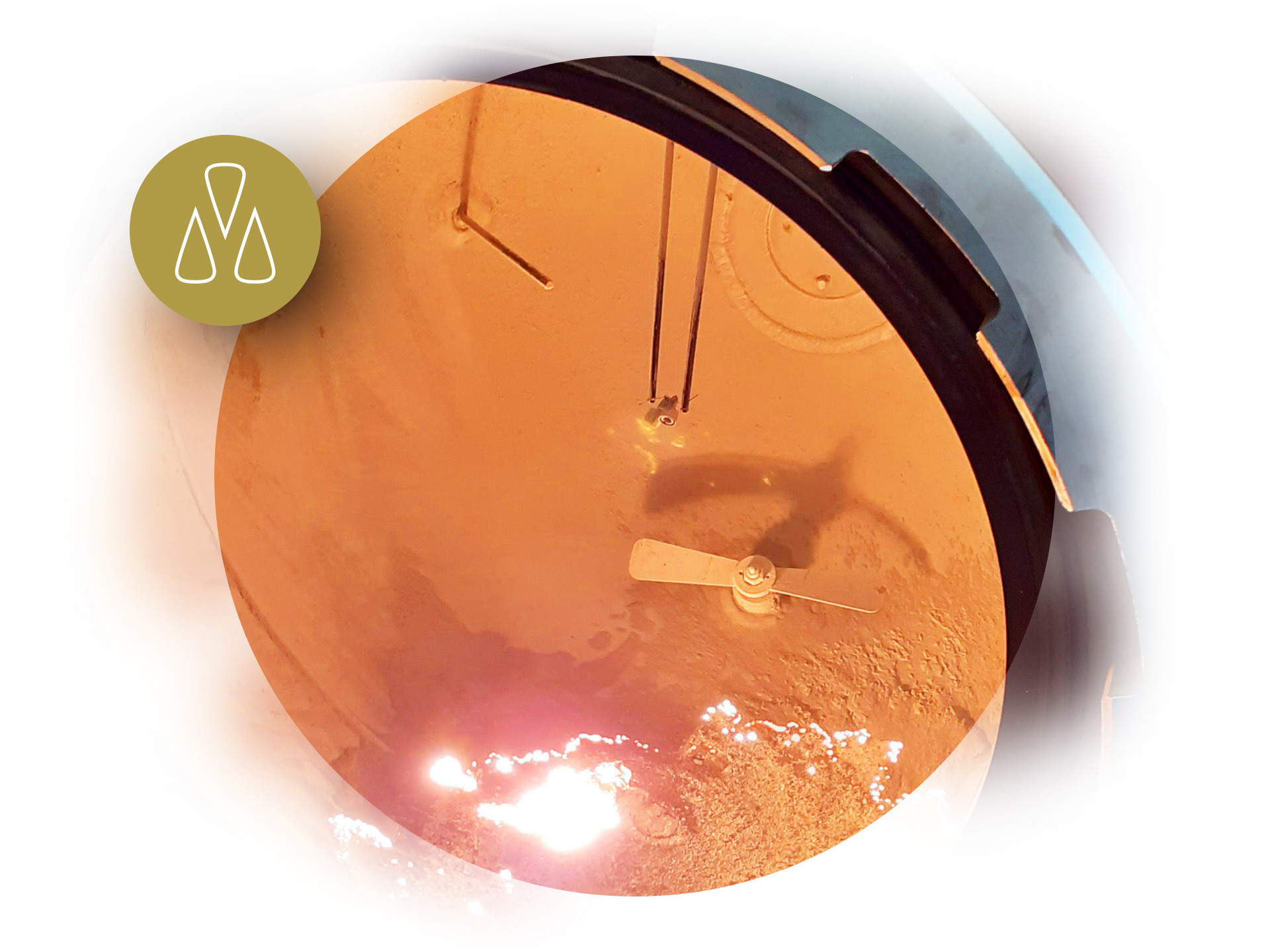 Innovation and Safety