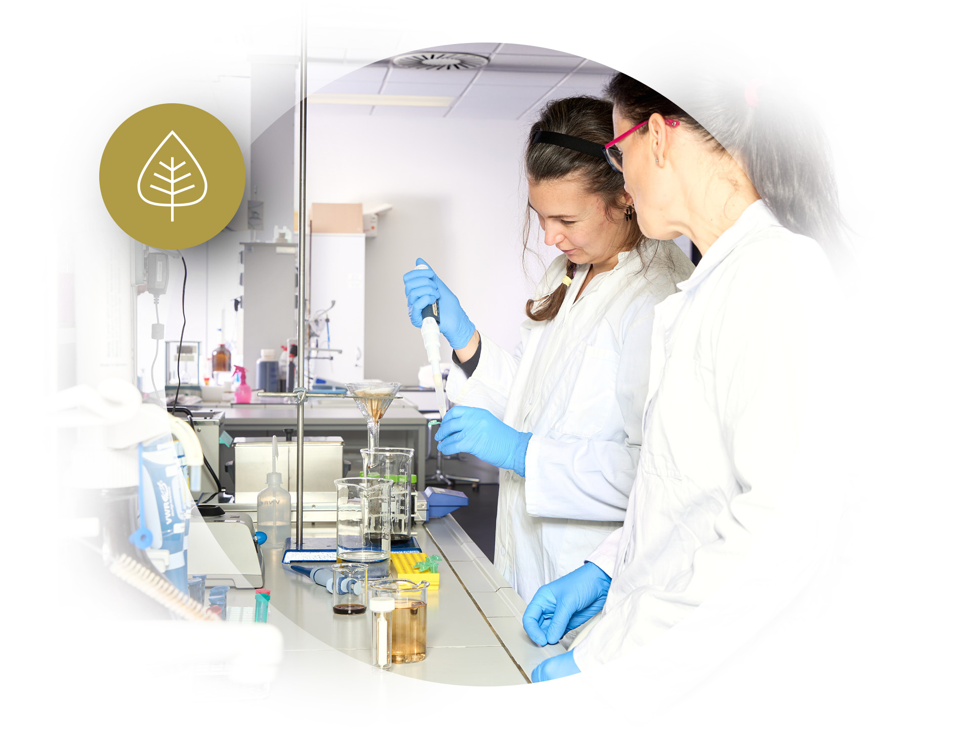 Water Treatment and Analysis